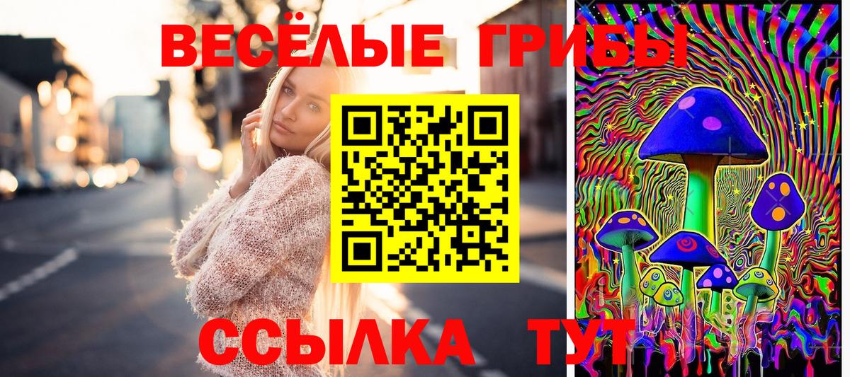 Галлюциногенные грибы Cubensis  Вход с VPN  Галлюциногенные грибы мицелий  Баксан 